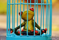 meditazione in carcere
