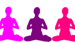 meditazione vipassana: c'è ne è più di una?